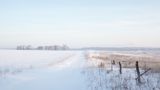 Pasture Fence and Snow 