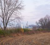 Field along Battle Creek 