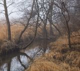 Ravine and Winter Fog 