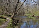 Spring Day at Franklin Creek 