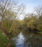 Spring Morning in DeKalb 
