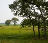 Smoky Sky over Gremel Wildlife Sanctuary 