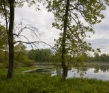 Main Pond in May 