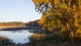 Early Morning at Nygren Wetland Preserve 