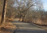 Morning Shadows along the River Road 