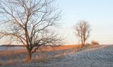 Daybreak West of Woodlawn Road 