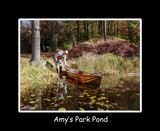 Amys Park Pond title.jpg