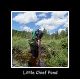 Little chief pond title.jpg
