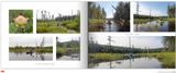 page38F MLR2022.jpg