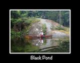 black pond title.jpg