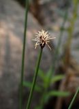 P6060028 TG6MLR2023.jpg