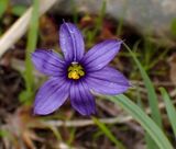 P6110372 TG6MLR2023.jpg