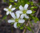P6110442 TG6MLR2023.jpg
