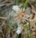 P6110455 TG6MLR2023.jpg