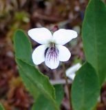 P6130569 TG6MLR2023.jpg