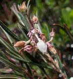 P6210791 TG6MLR2023.jpg