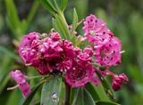 P6231013 TG6MLR2023.jpg