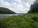 P7141729 TG6MLR2023.jpg