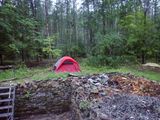 P7150534 MLR2023.jpg
