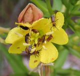 P8060750 MLR2023ps.jpg