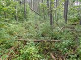 P8162502 TG6MLR2023.jpg