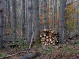 PA273663 TG6MLR2023.jpg