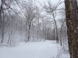 P3115335 TG6MLR2023.jpg