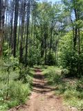 P6016204 TG6MLR2023.jpg