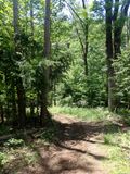 P6016207 TG6MLR2023.jpg