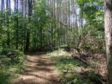 P6016274 TG6MLR2023.jpg