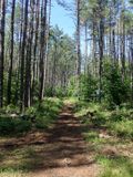 P6016276 TG6MLR2023.jpg