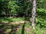 P6016280 TG6MLR2023.jpg