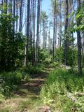 P6016292 TG6MLR2023.jpg