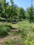 P6016296 TG6MLR2023.jpg