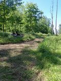P6016297 TG6MLR2023.jpg