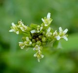 P6016249 TG6MLR2023.jpg