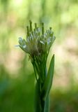 P6016252 TG6MLR2023.jpg