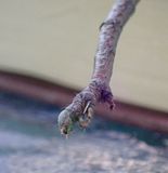 P6086445 TG6MLR2023.jpg