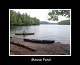 moose pond title.jpg