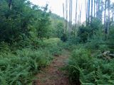 P7117066 TG6MLR2023.jpg