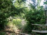 P7287375 TG6MLR2023.jpg