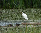 DSCN0503 MLR2023.jpg