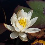 P9148243 TG6MLR2023.jpg