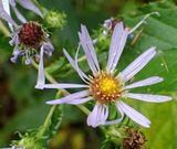 P9258471 TG6MLR2023.jpg