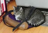P9268514 TG6MLR2023ps.jpg