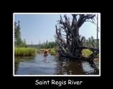 saint regis river.jpg