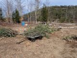 P3289941 TG6MLR2023.jpg