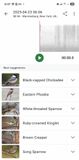 Screenshot_20250423_060725_Merlin Bird ID MLR2023.jpg
