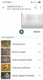 Screenshot_20250423_061529_Merlin Bird ID MLR2023.jpg