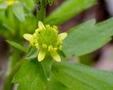P5210241 TG6MLR2023.jpg
